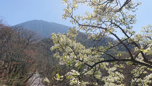 641 Ẳi 06_J̃}iV̉10