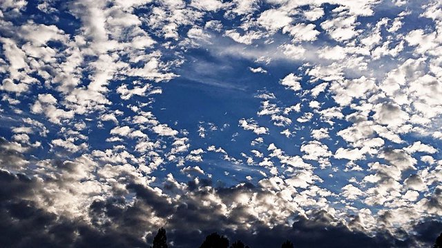 700�� �����̏H�_�ƎO�J������B�����[�Ă��_ 01_��ɍL����H�_