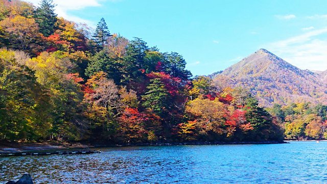 703 RƐFZȂ锪o 02_ΔȂ̍gt