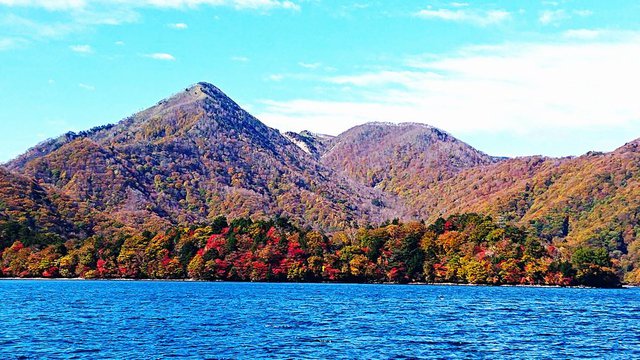 703 RƐFZȂ锪o 05_oƎЎR