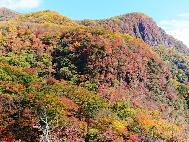 703 RƐFZȂ锪o 06_?̍gt