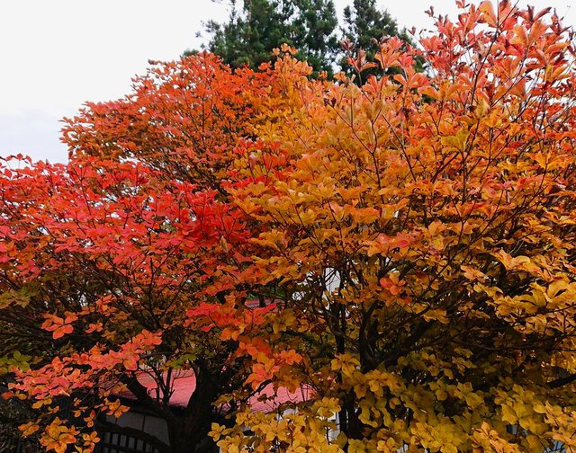 704 ARƎōgt 02_VVI̍gt