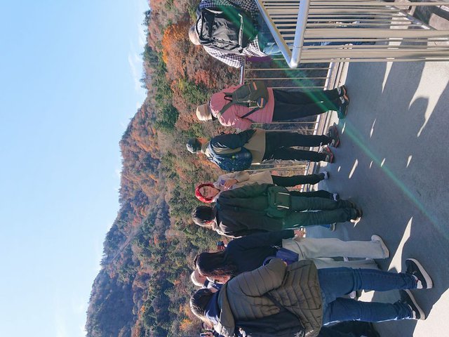 705 ӏH̉ޕ 02_e͊Ol΂