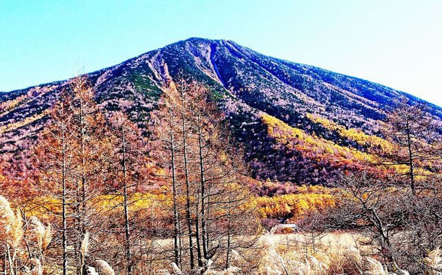 705 ӏH̉ޕ 06_{OJ}cAђj̎R