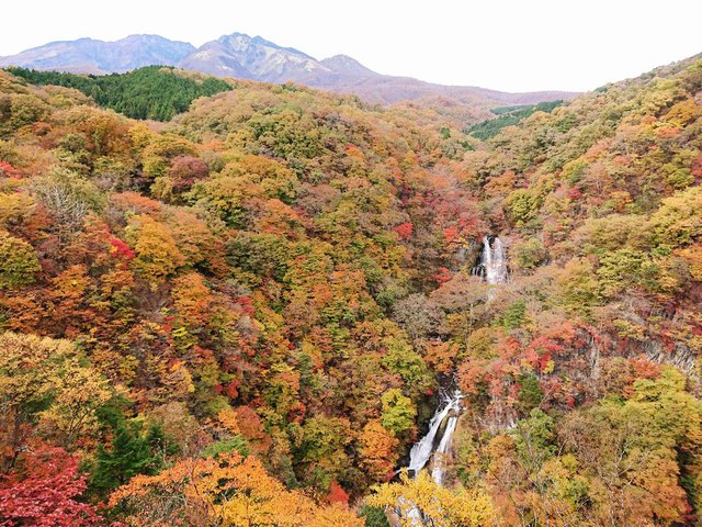 706 u~̑vgtƂȂĂ܂ 01_ARƖ~