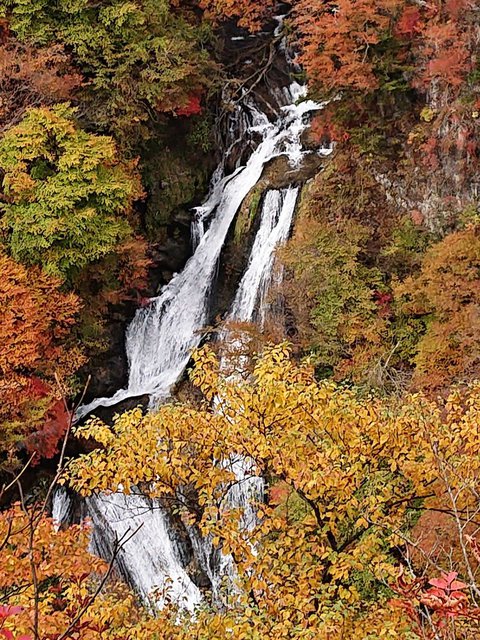 706 u~̑vgtƂȂĂ܂ 04_~뉺i