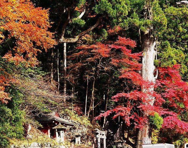 707�� �����s���̍g�t����(11��14������)�Ɖ������~�̃C�x���g�J�� 01_�_�����ӂ̍g�t