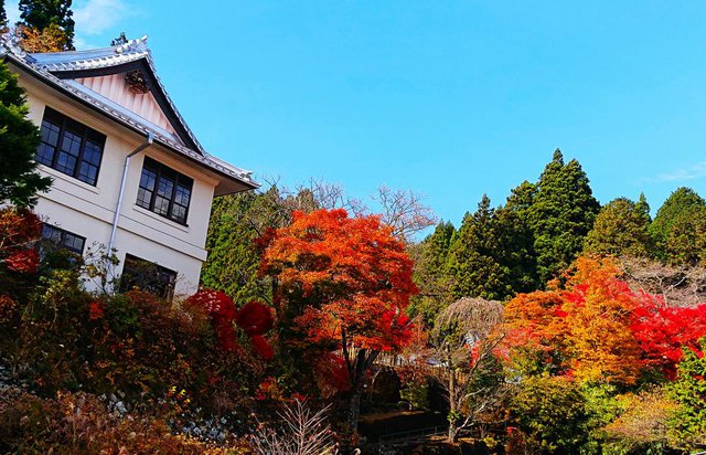 707�� �����s���̍g�t����(11��14������)�Ɖ������~�̃C�x���g�J�� 02_�������x���t�߂̍g�t