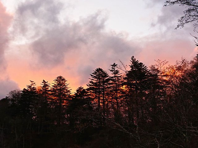 709�� �ᕑ���u�،��̑�v 01_��_�̗[�Ă�18��16��28��