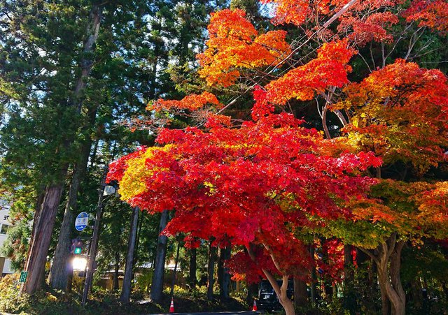 710�� �����̍g�t������H�y 01_�����Ō�̍ʂ�1