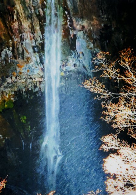 711�� ���C�g�A�b�v�،��Ɠ��v�̓V�̃V���[ 03_�ᕑ���e�z