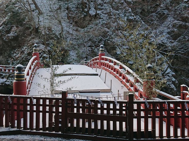 715�� 2026�N�V�t����������� 06_�V�N����̒�