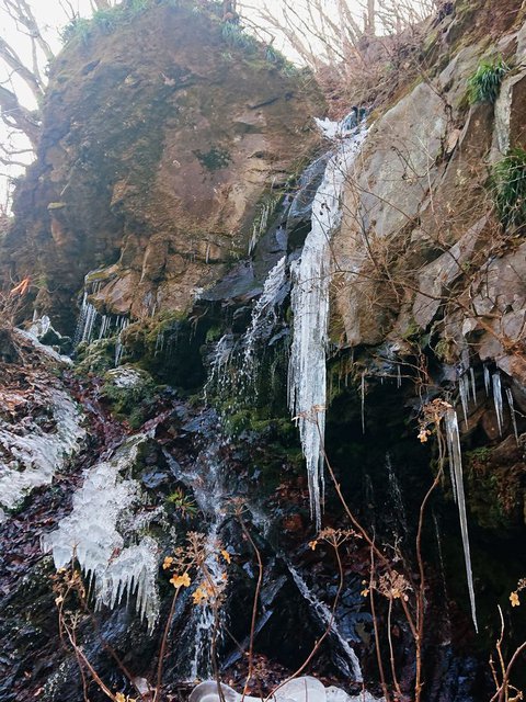 718�� ���~���̗����̑�� 05_����̃c����