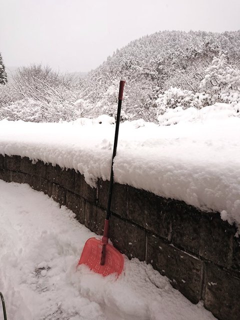 719�� ��x�ڂ̑劦�g�ƍ����̓����A���v�X����R 01_���ꂩ�珜��֑��̒�