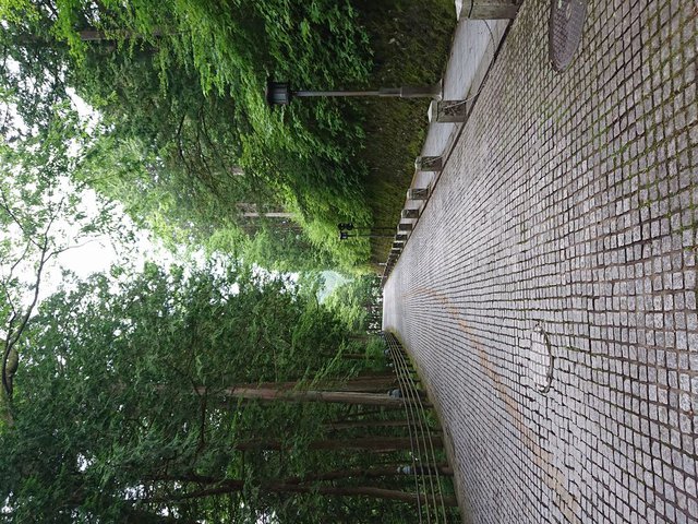 742�� ���E��Y�u�����̎Ў��v�ƎR���́u���v 05_�d����